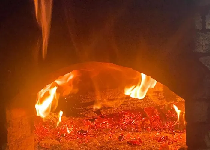 Prroni's Pensión Shkodër